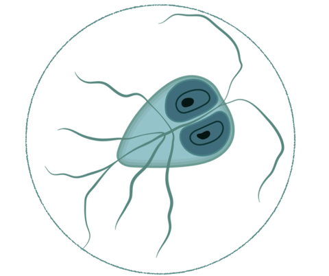 Logo de Microbicherio